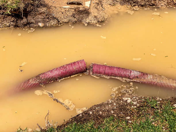 Best Flood damage cleanup  in Fairbanks, AK